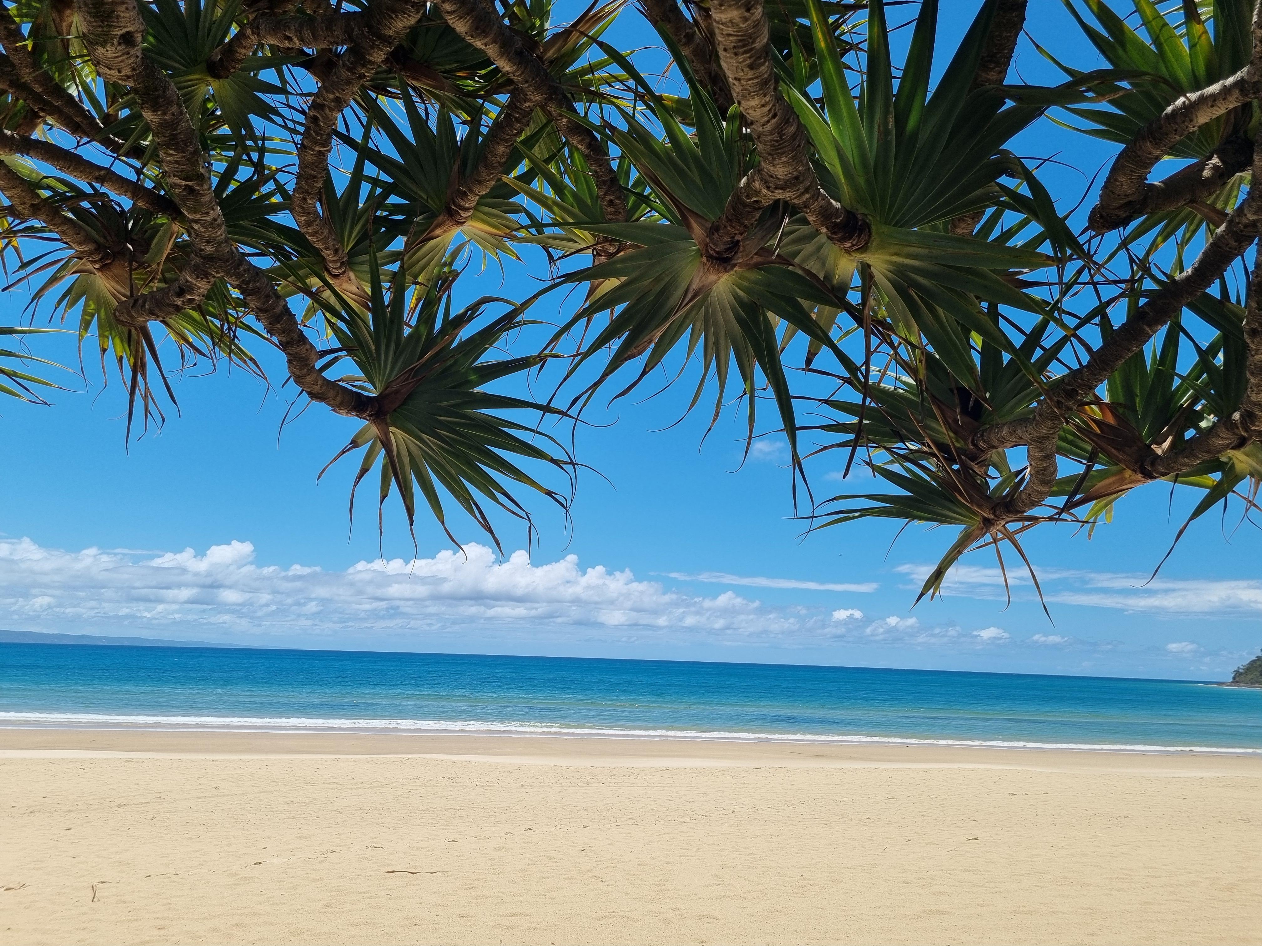 Noosa River Retreat Holiday Apartments Noosaville Bagian luar foto